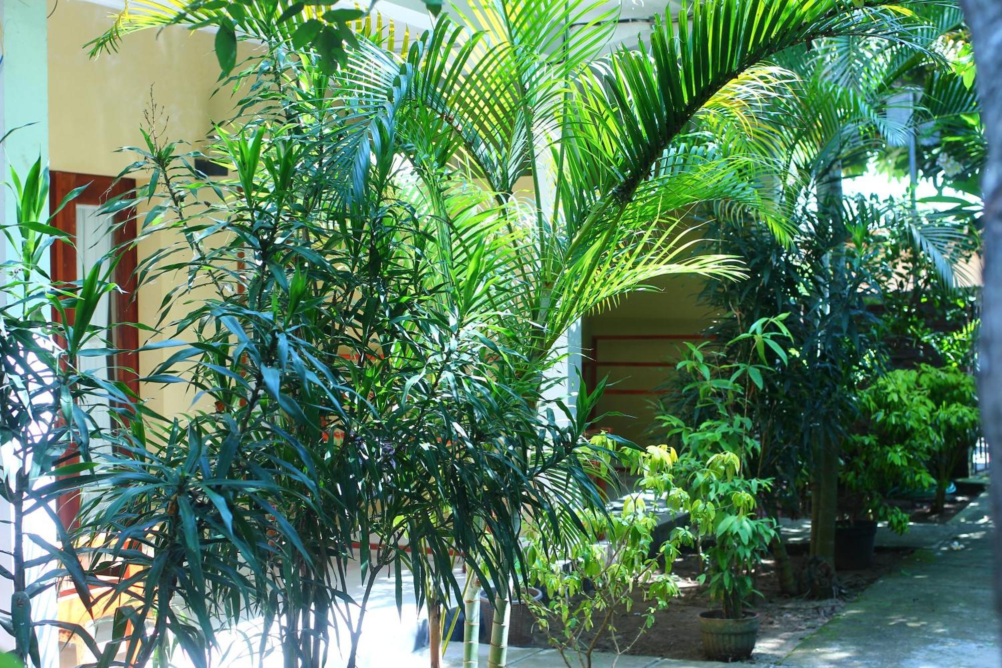 Three V Homestay Kuta  Buitenkant foto