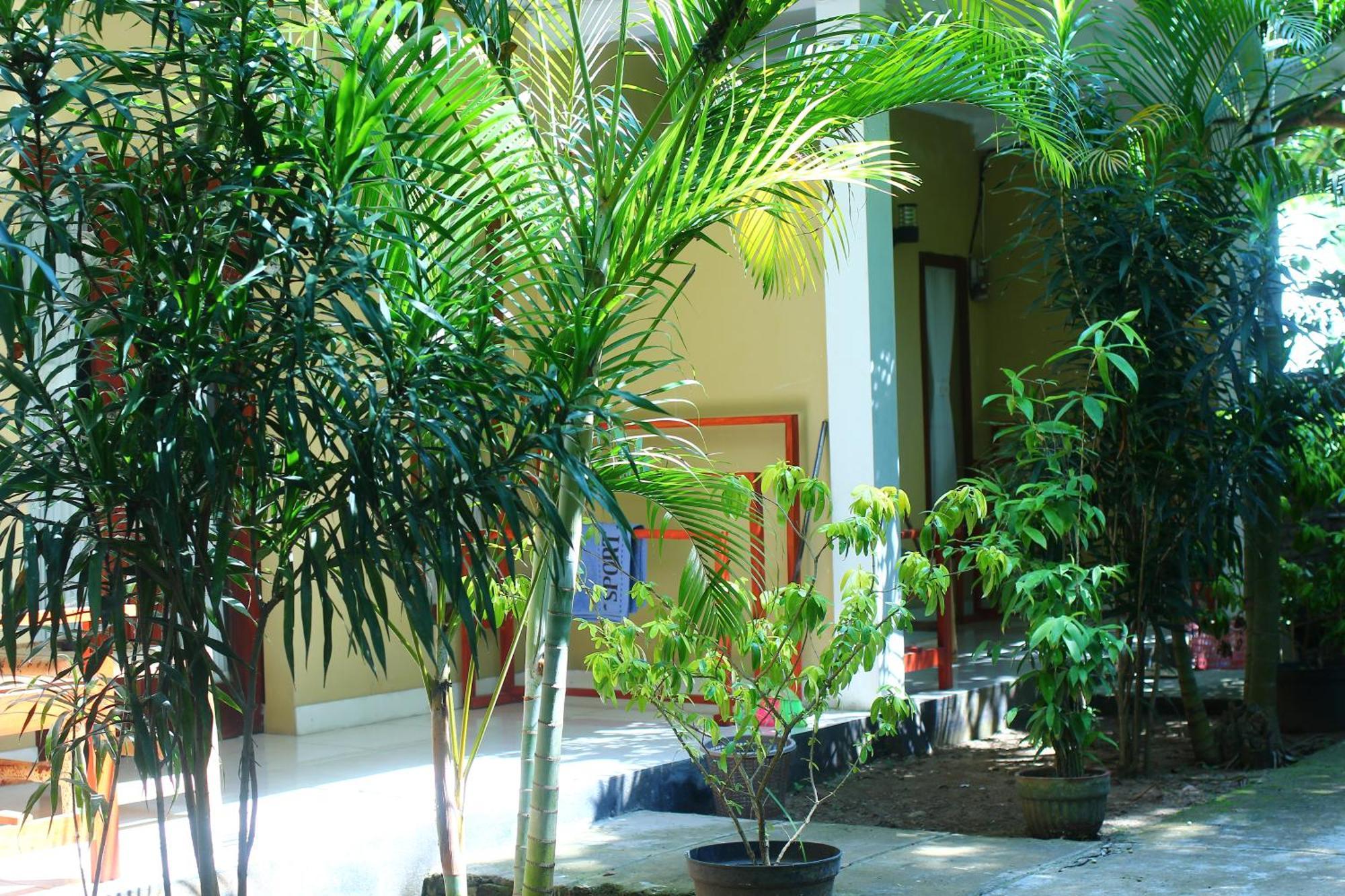Three V Homestay Kuta  Buitenkant foto