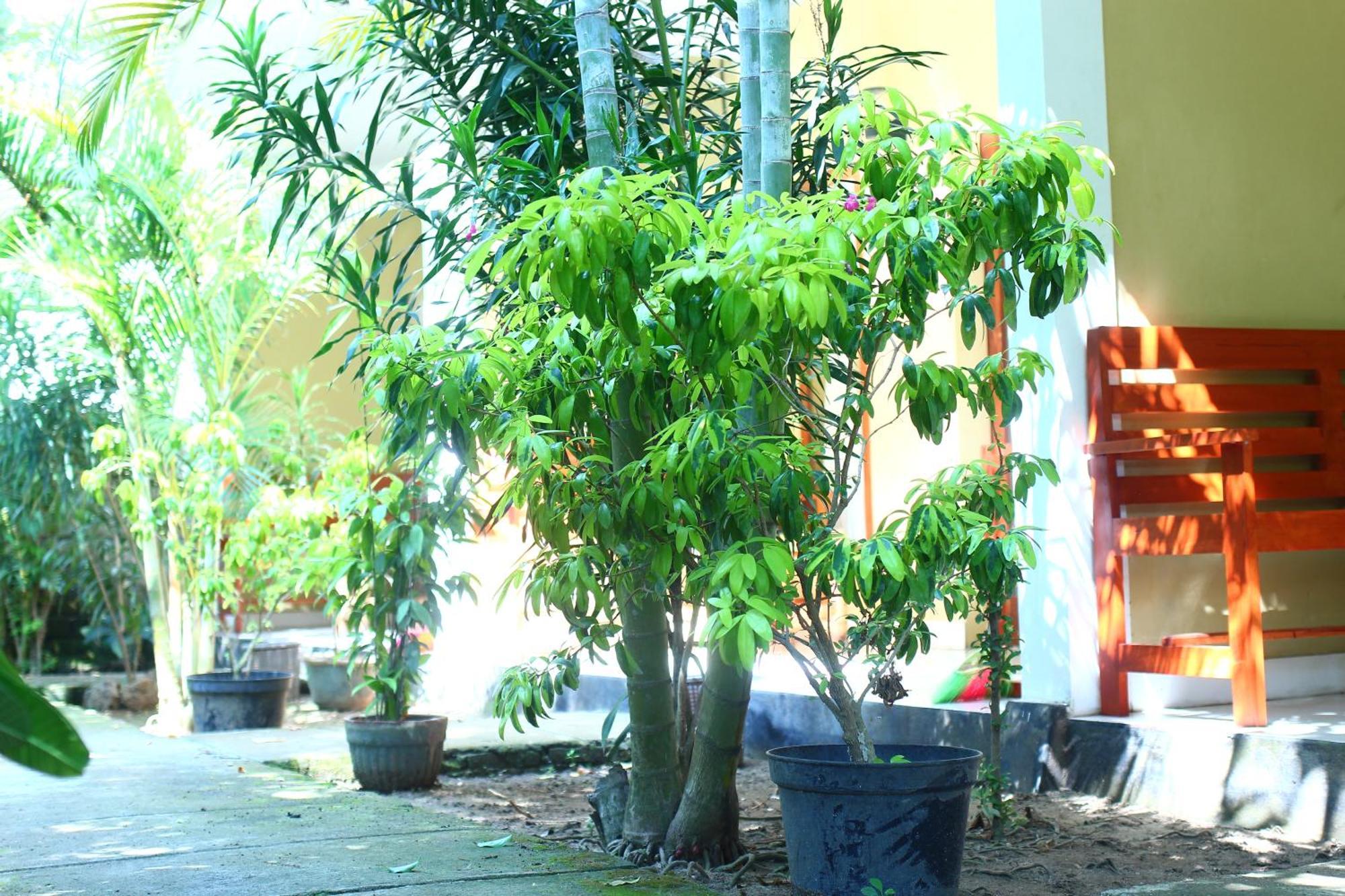 Three V Homestay Kuta  Buitenkant foto