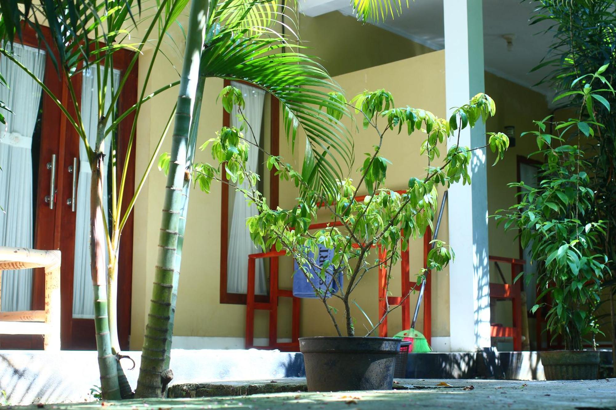 Three V Homestay Kuta  Buitenkant foto