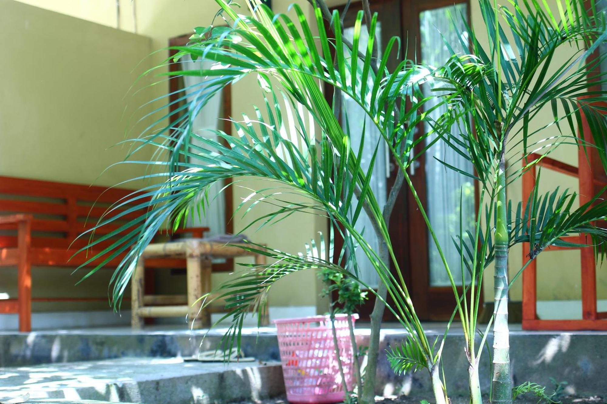 Three V Homestay Kuta  Buitenkant foto