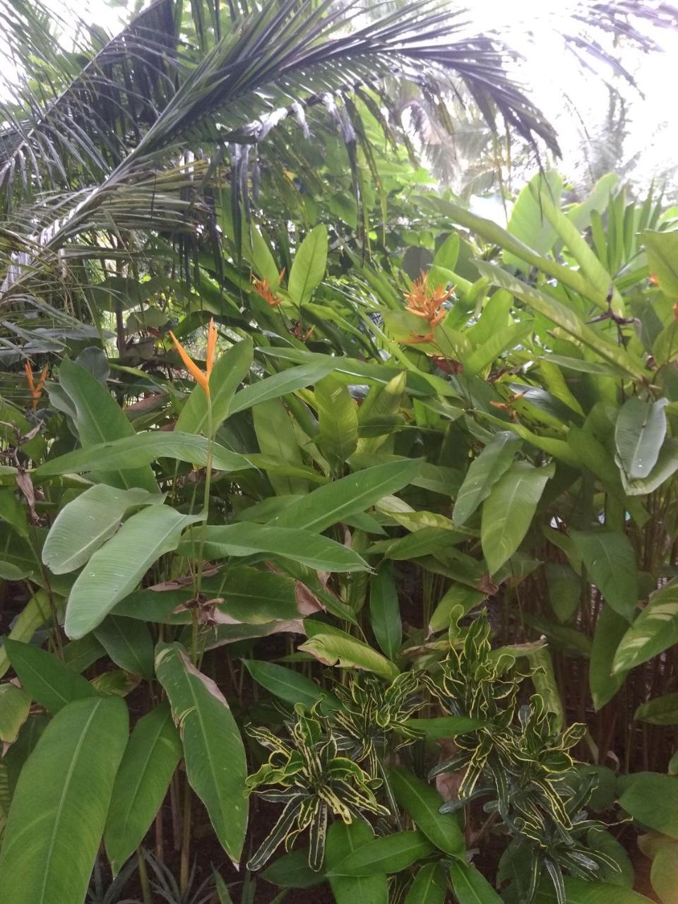 Three V Homestay Kuta  Buitenkant foto